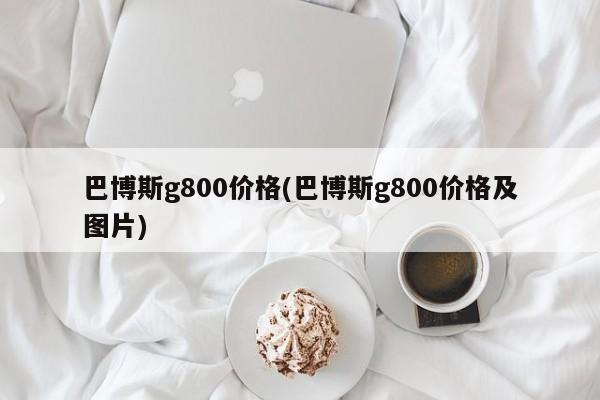 巴博斯g800价格(巴博斯g800价格及图片)