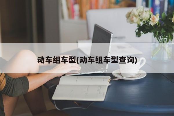 动车组车型(动车组车型查询)