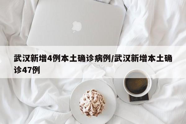 武汉新增4例本土确诊病例/武汉新增本土确诊47例