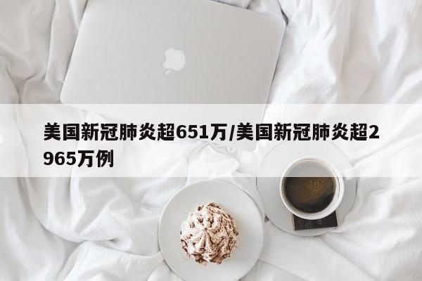 美国新冠肺炎超651万/美国新冠肺炎超2965万例