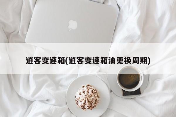 逍客变速箱(逍客变速箱油更换周期)