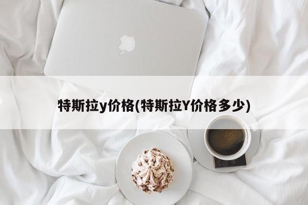 特斯拉y价格(特斯拉Y价格多少)