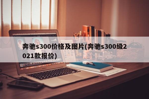 奔驰s300价格及图片(奔驰s300级2021款报价)